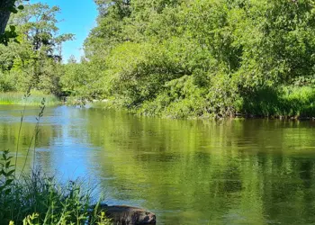Kullagården till havet