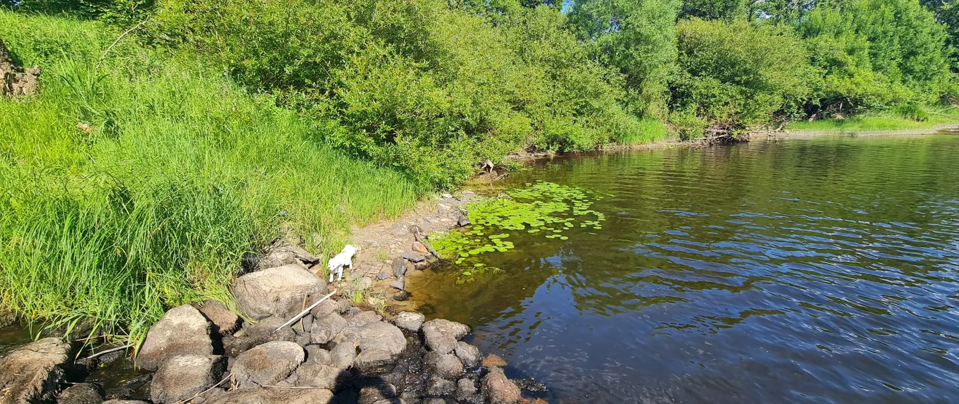 Marks Kommun