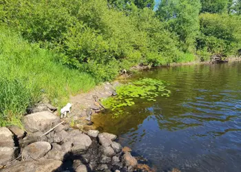 Marks Kommun