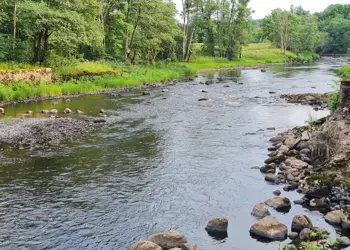 Marks Kommun